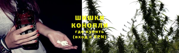 ешки Алзамай