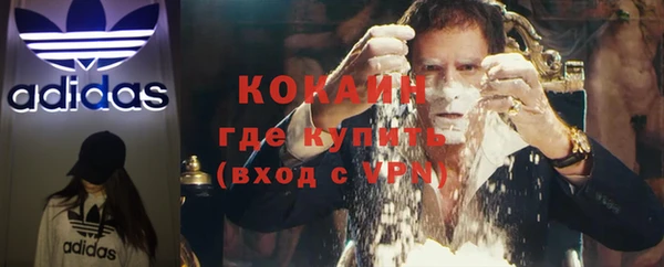 не бодяженный Алексин