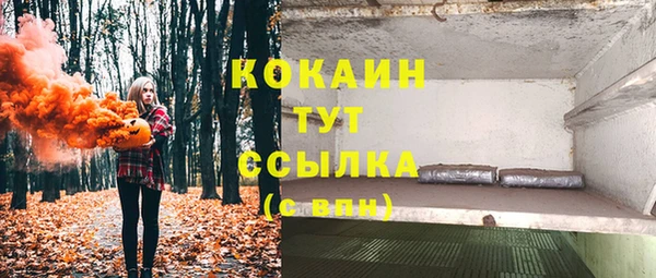 ешки Алзамай