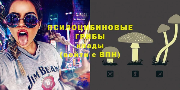 ешки Алзамай