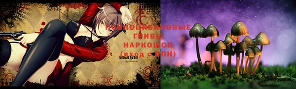 ешки Алзамай